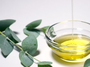 Eucalyptus Oil Benefits